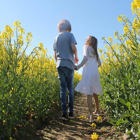 Apartmán Modern In Elmenhorst Near Sea Kalkhorst