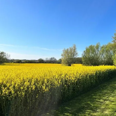 Modern In Elmenhorst Near Sea Apartmán Kalkhorst