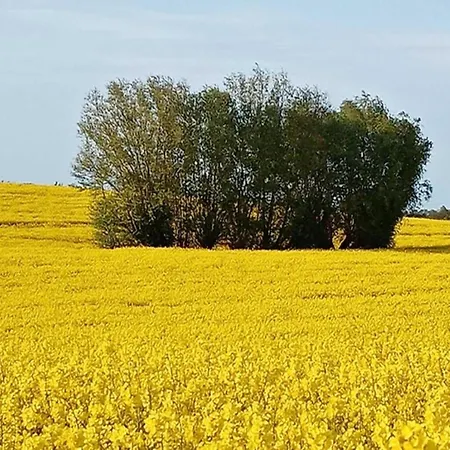 Modern In Elmenhorst Near Sea *
