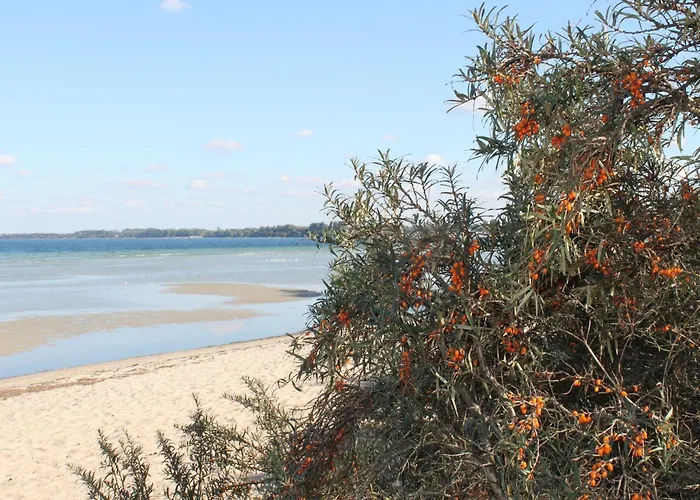 Modern In Elmenhorst Near Sea Appartement Kalkhorst