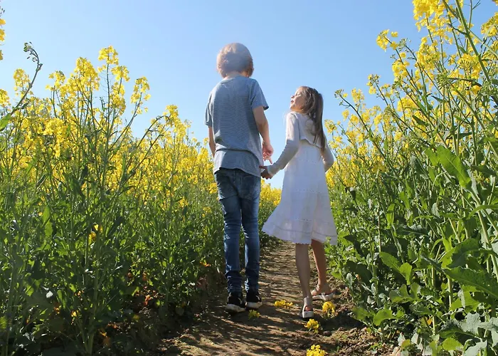 Modern In Elmenhorst Near Sea Kalkhorst