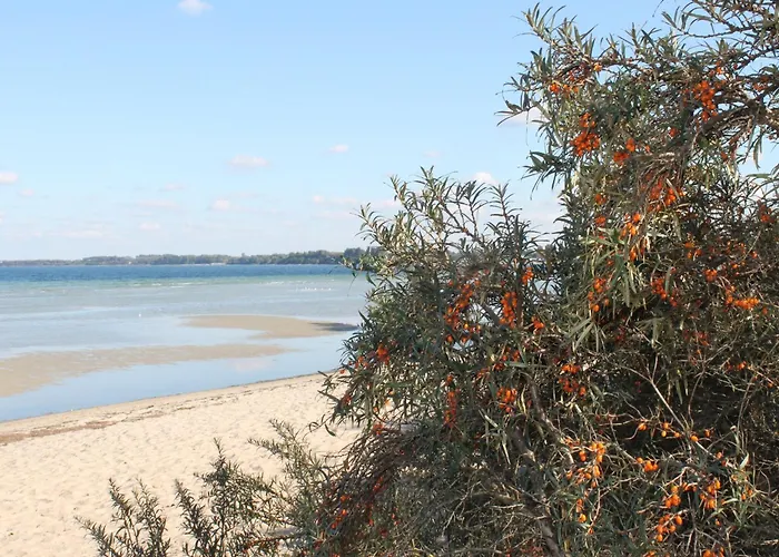 Modern In Elmenhorst Near Sea *