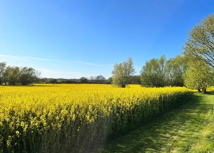 Modern In Elmenhorst Near Sea Appartement Kalkhorst