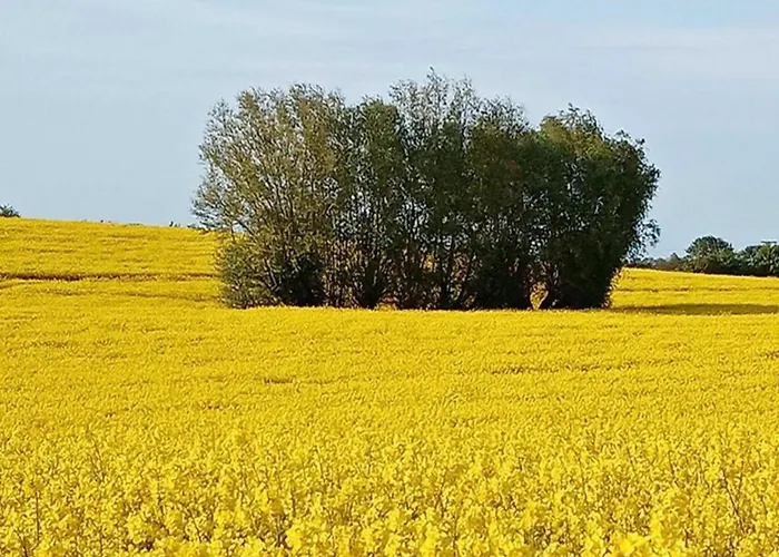 Modern In Elmenhorst Near Sea *